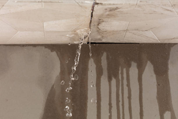 Professional Structural Drying technician working in Richlandtown, PA